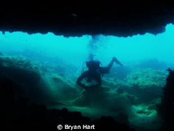 in 10m of water off Durban - the Caves is one of the only... by Bryan Hart 
